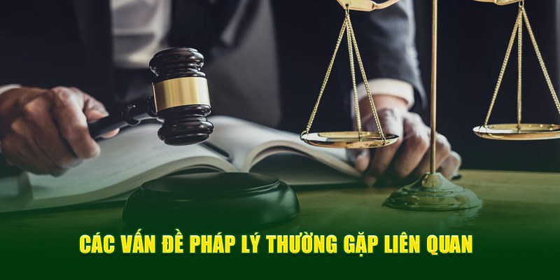 Thống kê một vài vấn đề pháp lý thường gặp liên quan