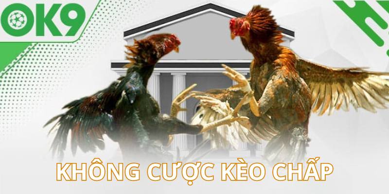 Hạn chế chơi kèo chấp đá gà OK9 sẽ giúp bạn thắng cược hiệu quả hơn