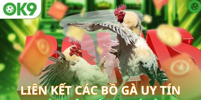 OK9 liên kết với các bồ gà đẳng cấp nhất khu vực