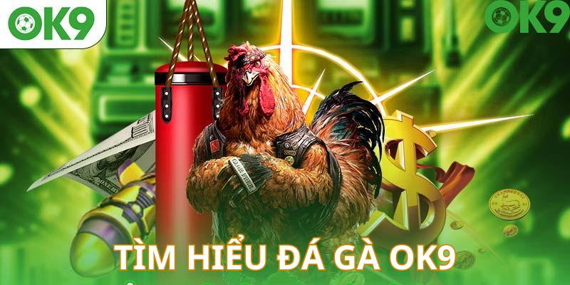 Khám phá sân chơi đá gà OK9 đẳng cấp